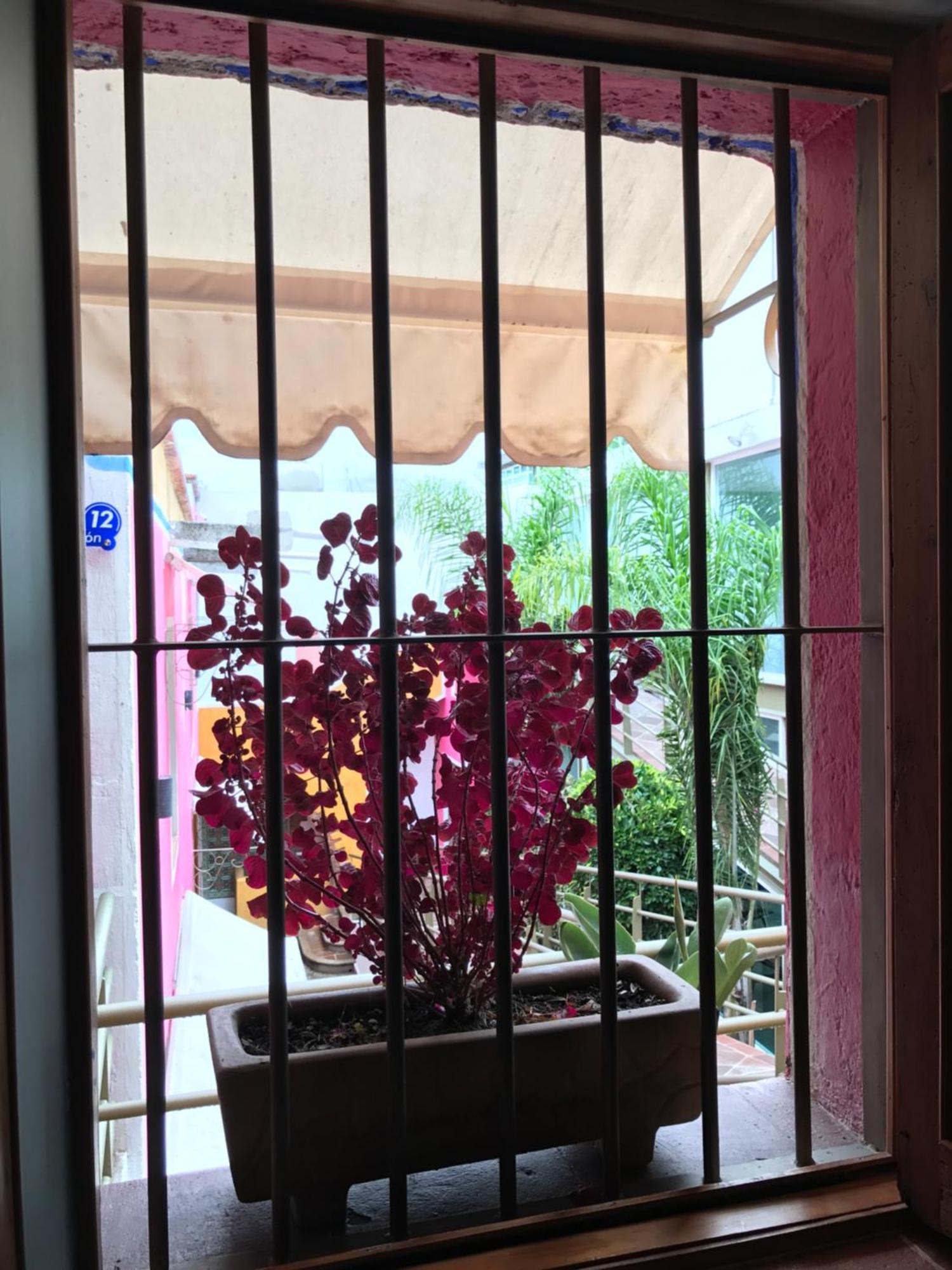Hotel Malinalli Huamantla Extérieur photo